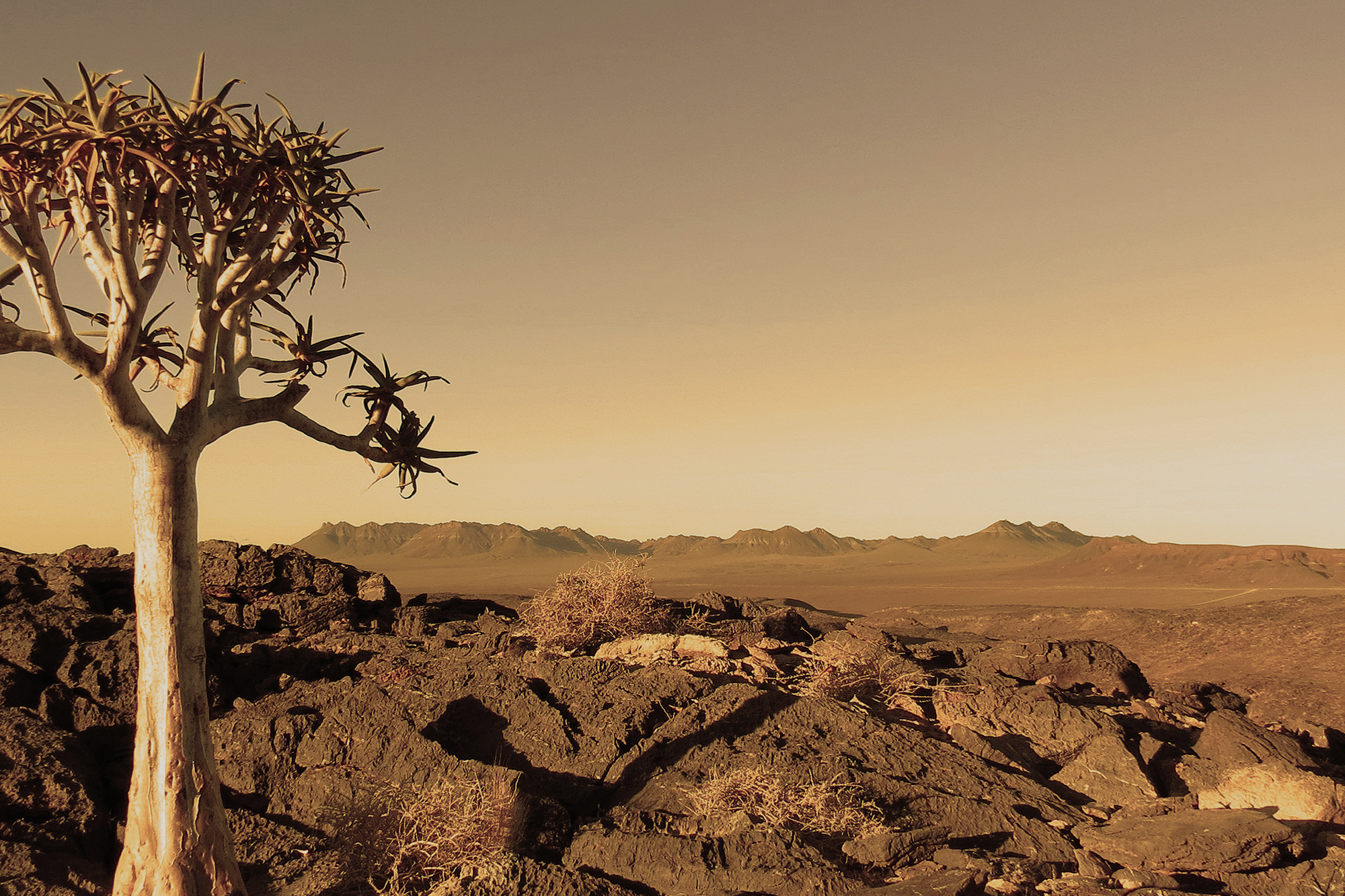 with a Resolute Will